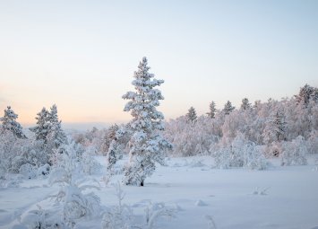 Хороскоп за понеделник