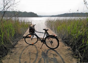 Хоби, което се изплаща: Най-търсените артикули за свободното време в Bazar.bg