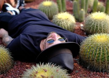 Лама Иво се прероди в кактус