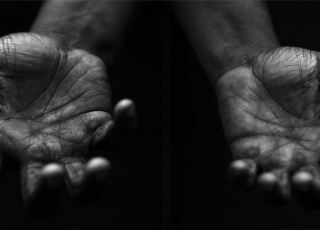 В парламента шум се вдига - лъскат ножки, мечове