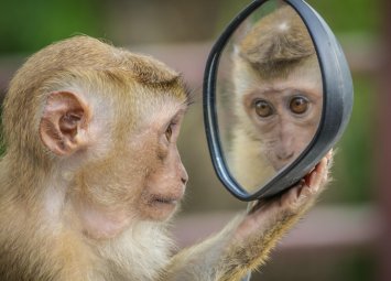 Буден гражданин обяви, че светът вече не е същият, но призна вътрешно, че не усеща промяна